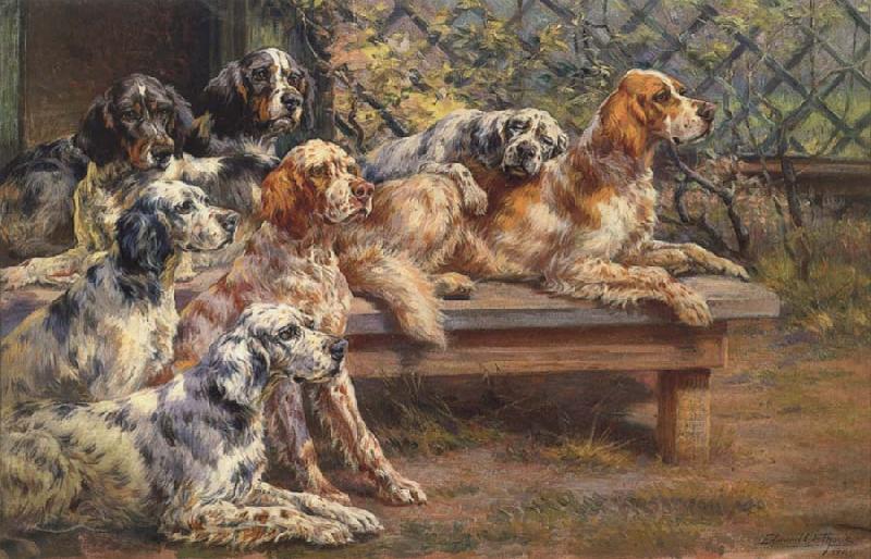 Osthaus, Edmund Henry Seven English Setters oil painting image